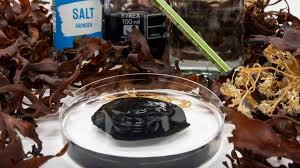 NANOCOMPOSITE SEAWEED IN SENSORS TO MONITOR HEALTH MEDODRIX